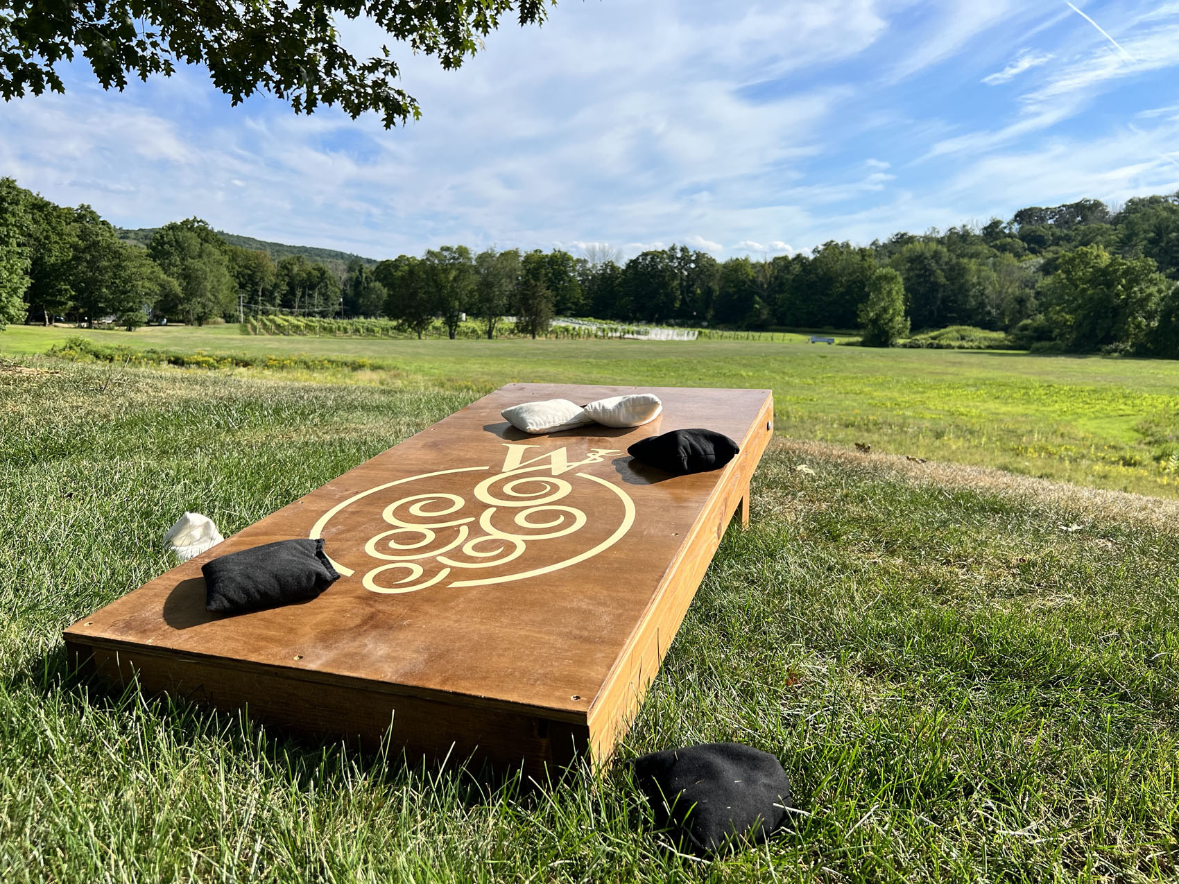 Cornhole 1