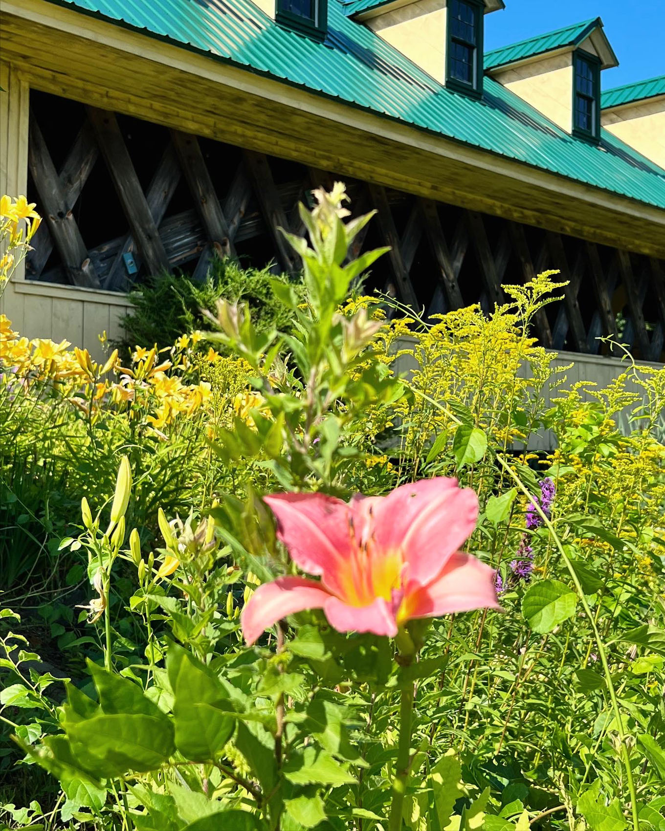 Flower Covered Bridge