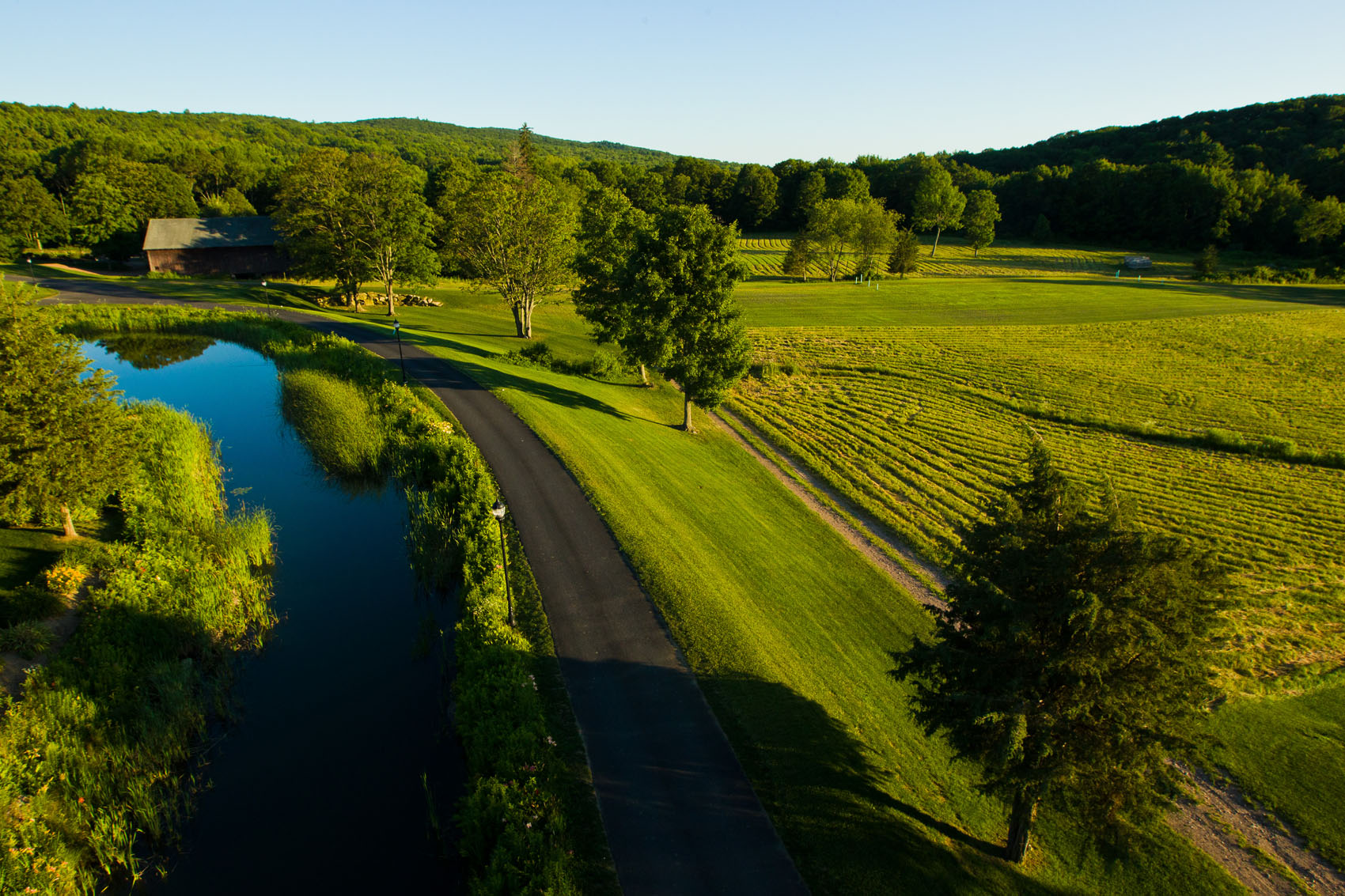 Worthington Pond Farm Shoot